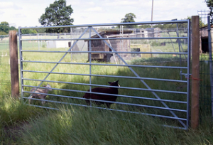 Metal Field Gates