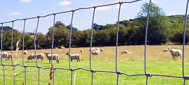 Agricultural